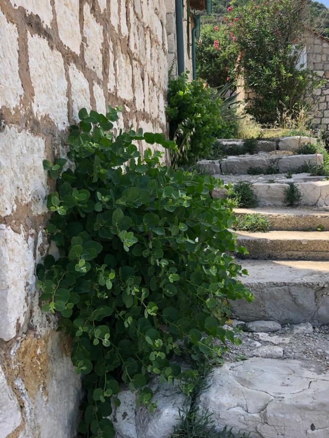 אובלי Villa Iva Lastovo מראה חיצוני תמונה
